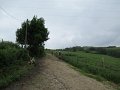 20180707-133103_sau