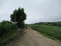 20180707-133108_sau