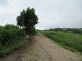 20180707-133215_sau