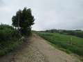 20180707-133243_sau
