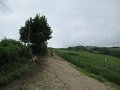 20180707-133257_sau