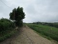 20180707-133421_sau