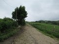 20180707-133430_sau