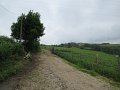 20180707-133443_sau
