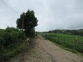 20180707-133449_sau