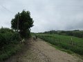 20180707-133514_sau