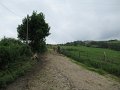 20180707-133554_sau