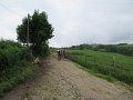20180707-133557_sau