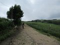 20180707-133618_sau