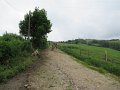 20180707-133626_sau