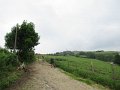 20180707-133636_sau