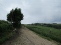 20180707-133707_sau