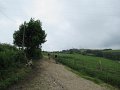 20180707-133740_sau
