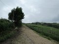 20180707-133755_sau