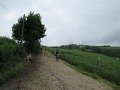 20180707-133800_sau