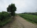 20180707-133821_sau