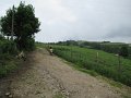 20180707-133830_sau