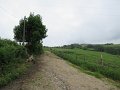20180707-133840_sau