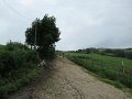 20180707-133927_sau