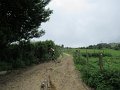 20180707-134148_sau