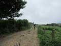 20180707-134224_sau