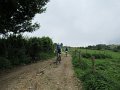 20180707-134236_sau
