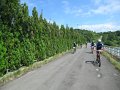 20180707-164345_sau