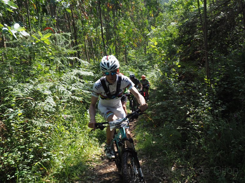 20180707-174733_pro.JPG