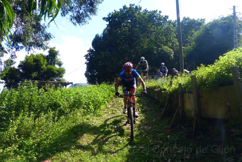 20180707-173208_pau.JPG