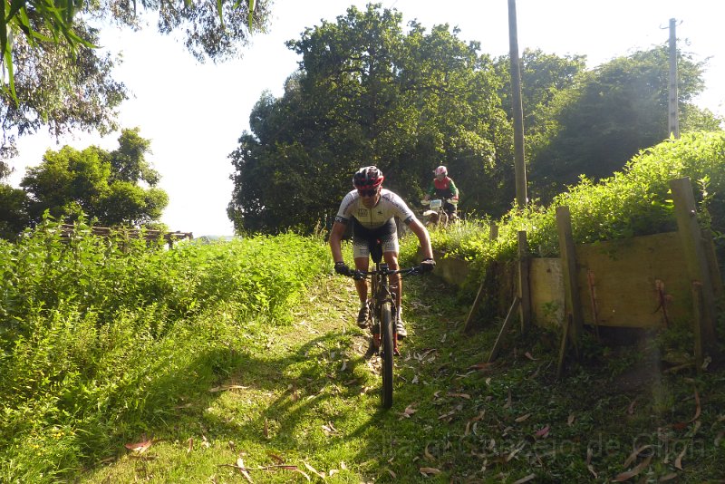 20180707-173303_pau.JPG