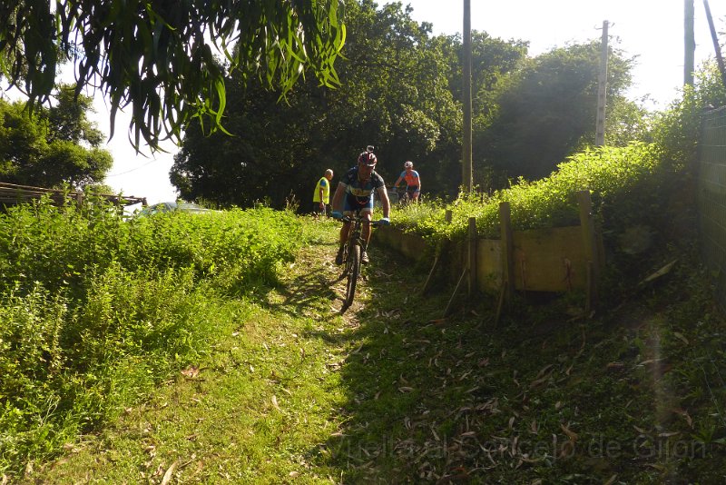 20180707-174245_pau.JPG