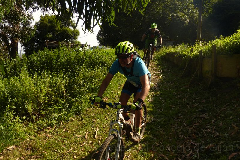 20180707-174718_pau.JPG