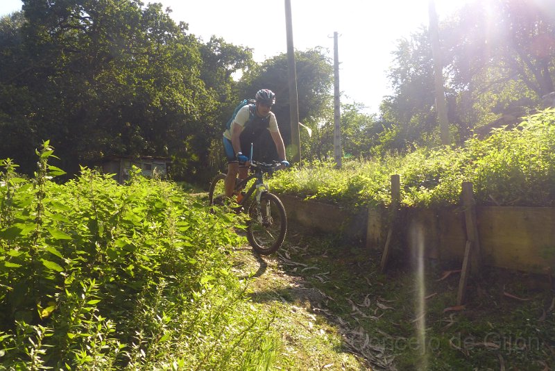 20180707-180929_pau.JPG