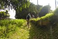 20180707-173847_pau
