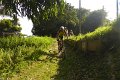 20180707-174707_pau