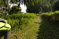 20180707-174715_pau