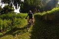 20180707-174728_pau