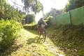 20180707-175025_pau