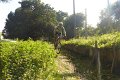 20180707-175722_pau