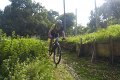 20180707-175906_pau
