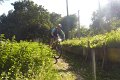 20180707-180120_pau