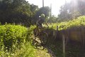 20180707-180420_pau