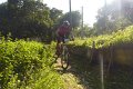 20180707-180621_pau