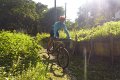 20180707-180704_pau