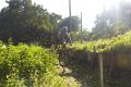 20180707-180726_pau