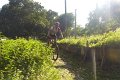20180707-180730_pau
