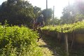 20180707-180735_pau