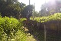 20180707-180738_pau