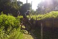 20180707-180740_pau