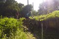 20180707-180854_pau